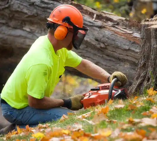 tree services Hendron